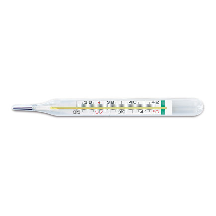 Pic solution Galijev termometar VedoEco Plus